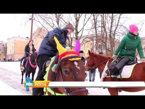 Новости Псков 23.01.2017 # Запрет катания на лошадях в Детском парке 