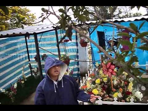 en memoria del sopita video clip oficial mc caster rap de man