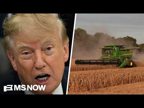 'Band-Aid on a flesh wound': Economics expert on Trump's $8B promise to farmers