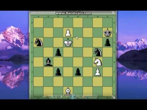 Šahovska studija VAN BRUEKELEN - br 4 -  beli igra i pobedjuje # 200 sah i mat