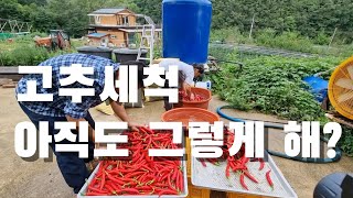 고전적인 고추 세척법. 아직도 그렇게 하네...