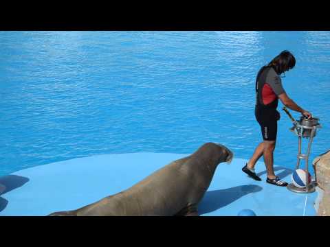 Fitness Mrož z Egypta :-D