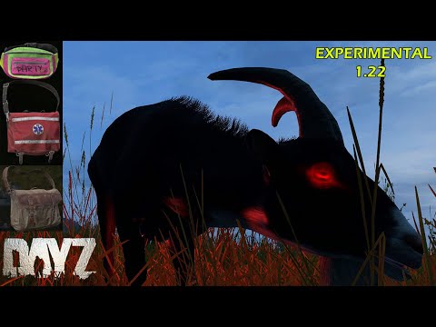 Dayz - Checking out the Experimental 1.22 Update on a LIVE Server