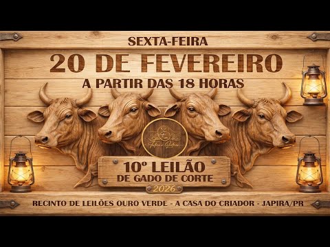 10° Leilão de Gado de Corte - 2026 | Talismã Leilões |Sexta-Feira - 20/02 - 18h | Japira - PR