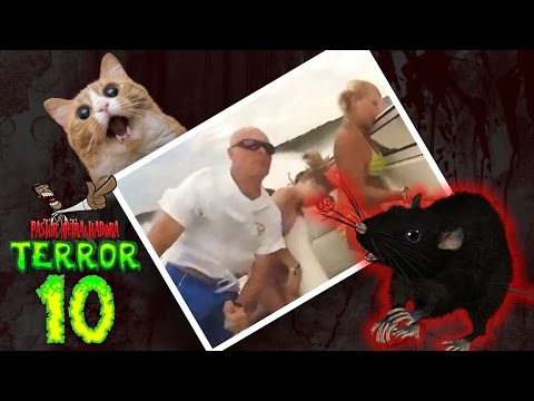 Pastor  Metralhadora Terror 10