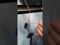 Fantastic Art Satisfaction