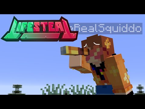 Lifesteal SMP * Look out for yourself