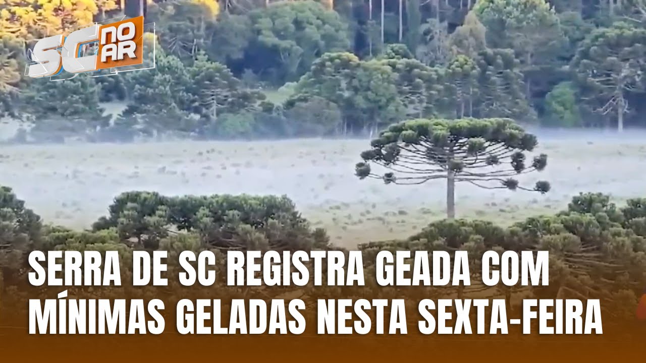 Central do Tempo - Geada em São Joaquim registra temperaturas abaixo de 5°C