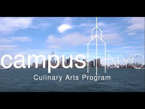 All About campusNYC