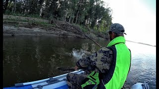 Какая рыба клюет в дождь на реке иня