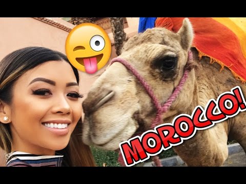 MOROCCO TRIP! WE MET A CAMEL AND RODE ATVs! | Liane V Vlogs
