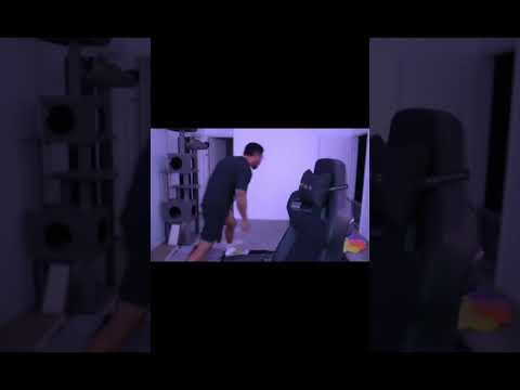 Low Tier God's cat pulls up and catches the fade