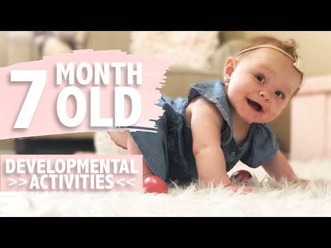 image-What is the best food for a 7 month old?
