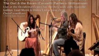 New World Gypsy String Band - The Owl and the Raven/Pacheco