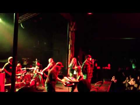 Fortunate Youth : Jah Music (feat. Matt of Seedless)