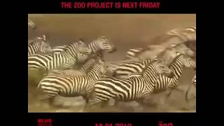 Zoo Project at Blue Marlin Ibiza UAE