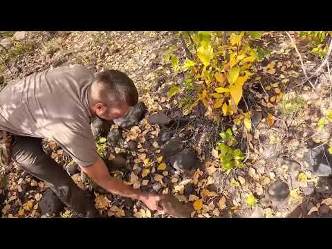 Survival ! Camping ! with ! 4 ! yr ! Old !   Trapping, Knapping, Friction Fire & Campfire Cooking