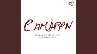 Jardín De Belleza (Romera)