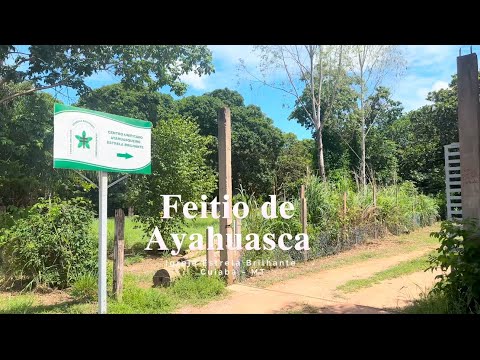 Documentário - Feitio Igreja Estrela Brilhante