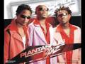 Plantashun Boiz Cousin S Cousin