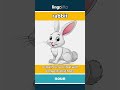 rabbit - a small, furry animal with ... video thumbnail