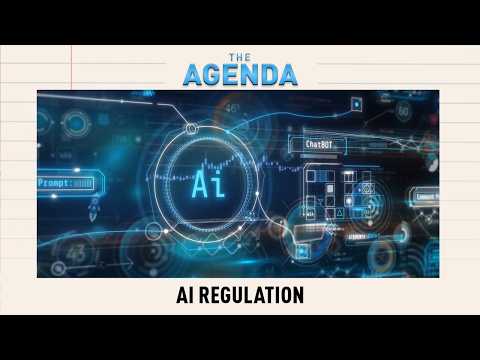 Who Writes the Rules for AI?