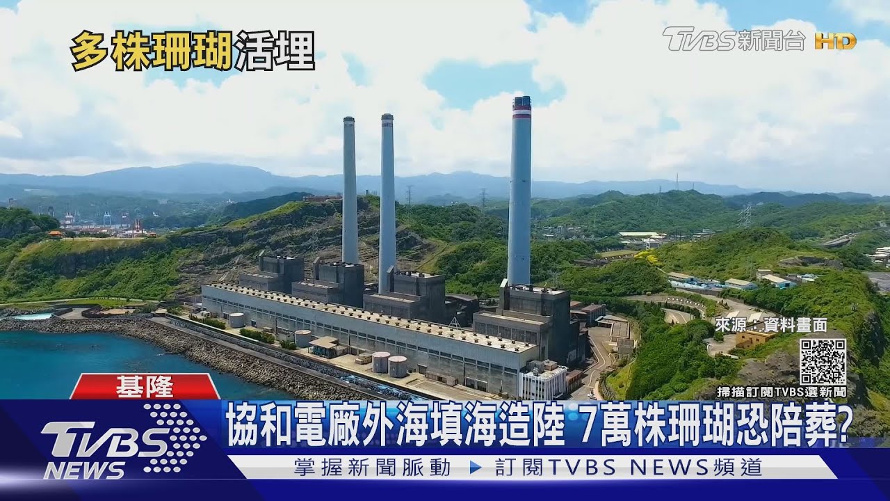 觀塘三接案翻版?台電填海造陸蓋四接 恐活埋逾7萬株珊瑚