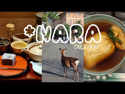Nara vlog. 일본 소도시 나라(奈良)여행 다이어리🦌유부 주머니 우동|일본 전통 카페|모찌|몽블랑|기념품 푸천|오사카 근교 당일치기 여행. MOning vlog