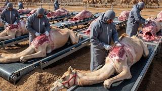 Como Os Fazendeiros Do Oriente Médio Processam 3,31 Milhões De Camelos Por Ano