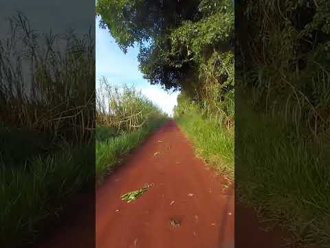 Paisajeando por caminos de la tierra colorada (Gral Urquiza Misiones Argentina)