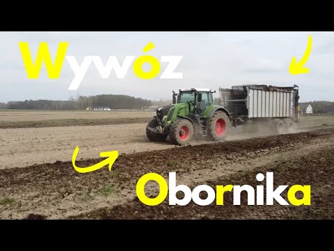 Wywóz obornika Fendt 822