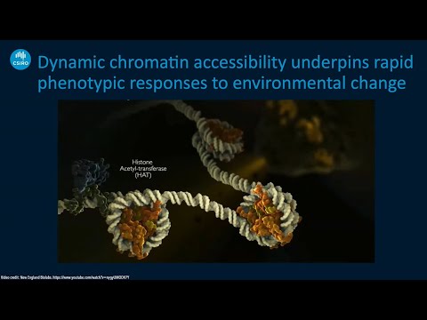 Museum epigenomics chromatin accessibility over the last century - Clare Holleley