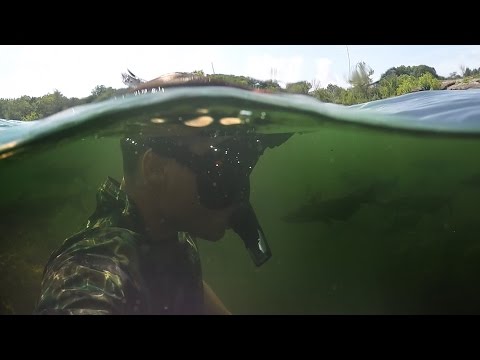 Scaring People From Underwater at the River! - Prank (Funny Reactions) Part 2 | DALLMYD