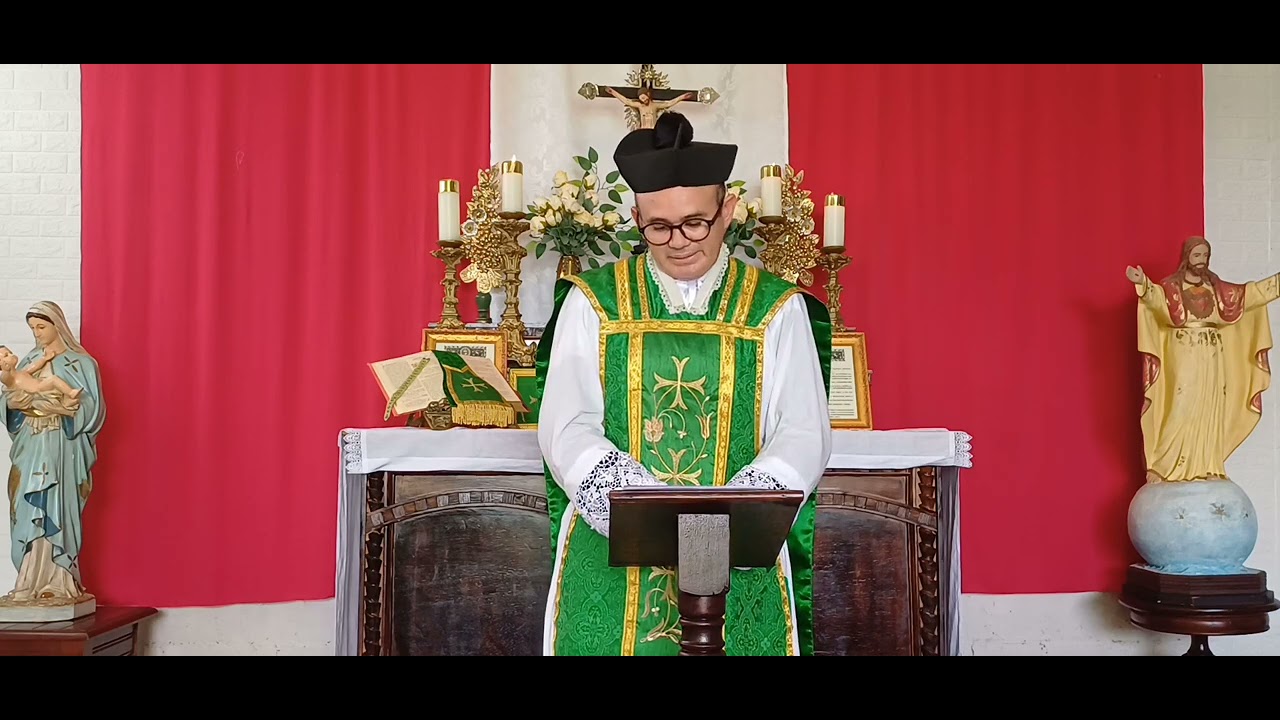 XXVI Domingo depois de Pentecostes | VI Domingo depois da Epifania - O grão de mostarda e o fermento