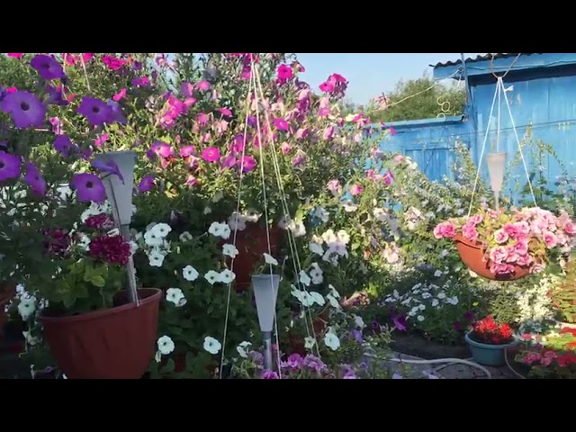 Приусадебный участок Равиля и Альфинур Халиуллиных