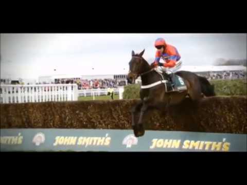 Sprinter Sacre Tribute - Dare To Be Different
