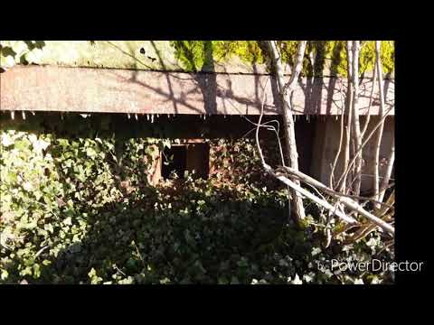 Bunker type 98 A site de Margival WOLFSSCHLUCHT 2