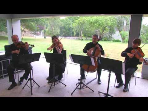 Cuarteto de cuerda. BSO El señor de los anillos-The Shire