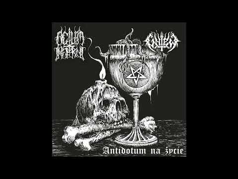 Actum Inferni / Gniew - Antidotum na życie (Full Split Premiere)