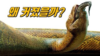 옛날 옛적, 초거대 뱀 티타노보아가 살았던 시절의 이야기!