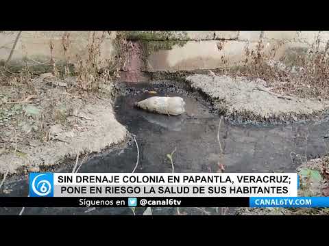 Video: Sin drenaje colonia en Papantla, Veracruz; pone en riesgo la salud de sus habitantes