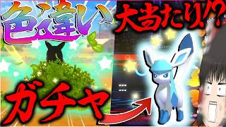 やっと出た色違いが大当たりだったので使ったら強すぎた件について【ポケモンチャンピオンズ・ゆっくり実況】