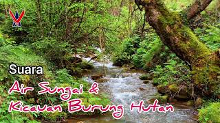 Download lagu Suara Air Sungai dan Kicauan Burung Hutan | Backsound IPS - Potensi Sumber Daya Hutan mp3