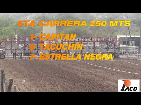 CAPITA HIPODROMO DON SOHAR CRUZ DEL EJE 28 08 2022