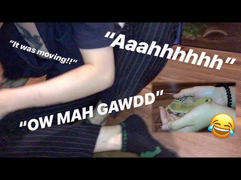 Il cugino SUPERA (un po') la PAURA delle LUCERTOLE prima di tornare in Inghilterra ~ Aaaahhh OMGG...