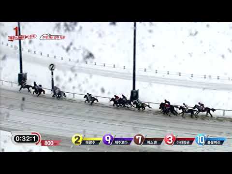 Jeju Racecourse - Pony Race in the Snow - January 12, 2018