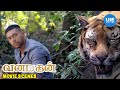 Vanamagan Movie Scenes | Tiger saves the tribal man from danger | Jayam Ravi | Sayyeshaa