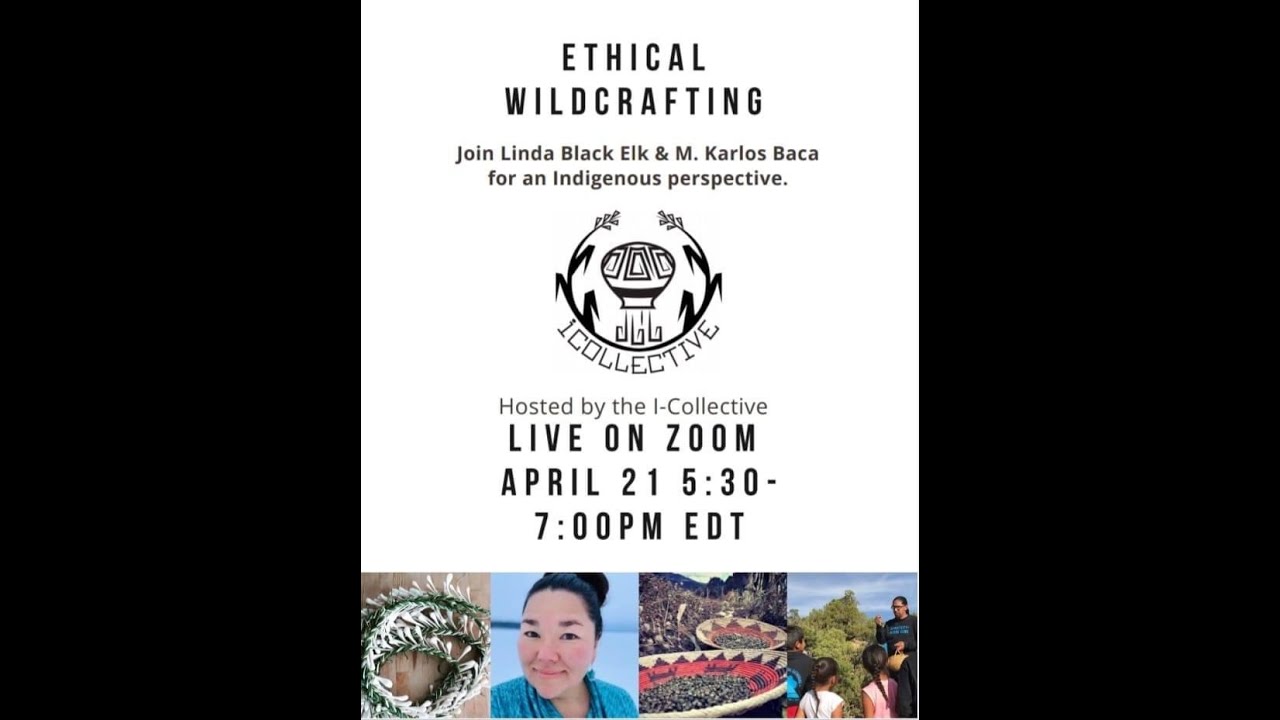 I-Collective Ethical Wildcrafting part 1 - YouTube