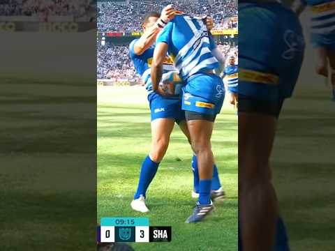 Welcome back Seabo Senatla 😍