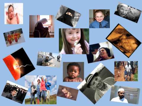 EL VALOR DE LA VIDA HUMANA